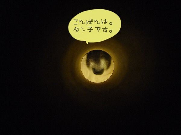 00P1120895