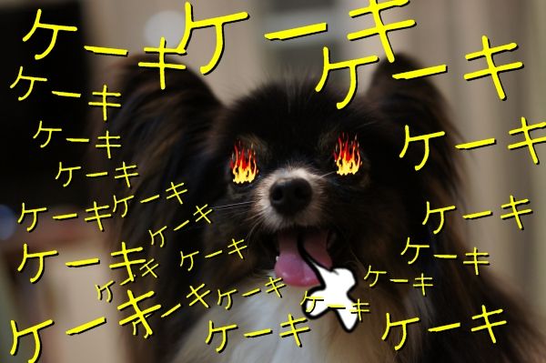 09DSC06727