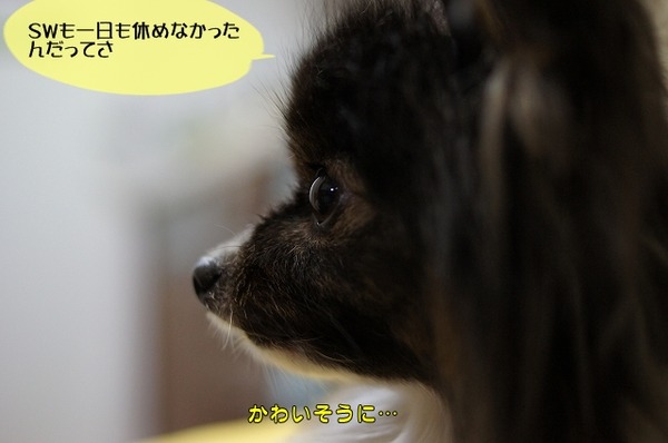 003DSC09897