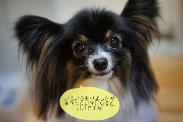 01DSC05137