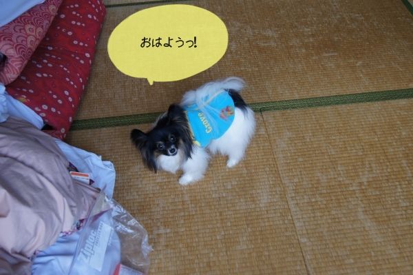 bbDSC05750