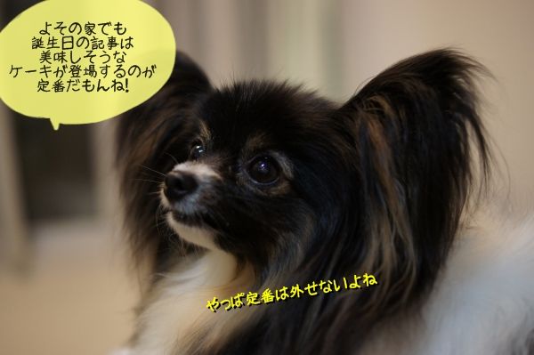 03DSC06710