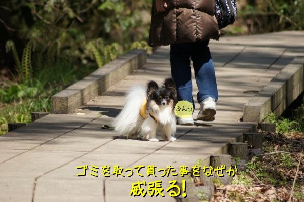 096DSC06092
