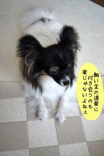 08DSC01445