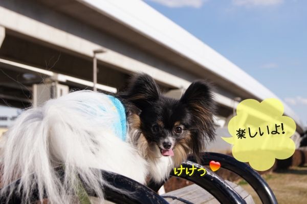 09DSC05404