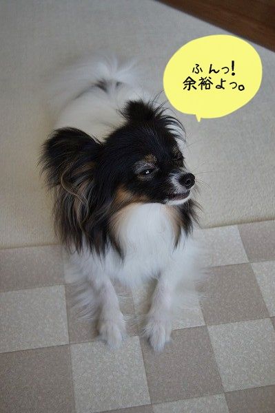 04DSC01436