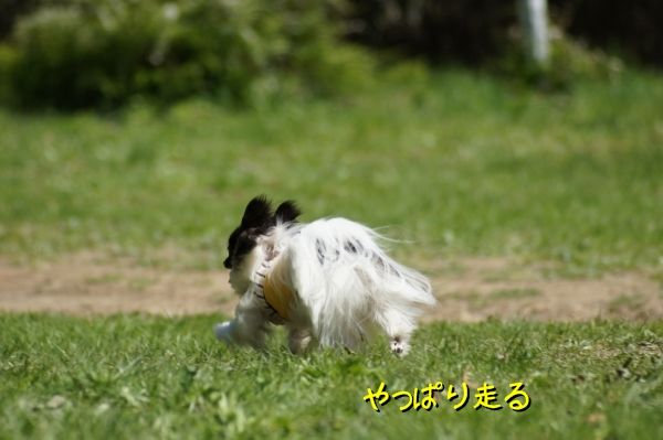 02DSC05939