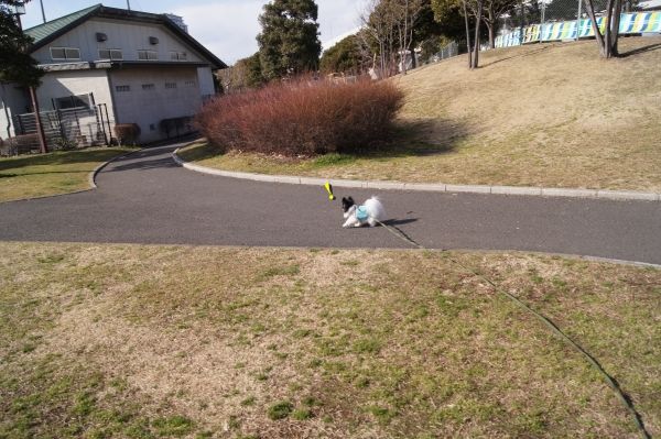 04DSC05359