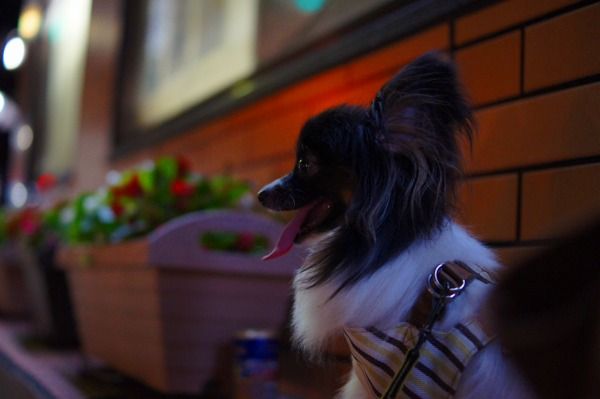 DSC02989