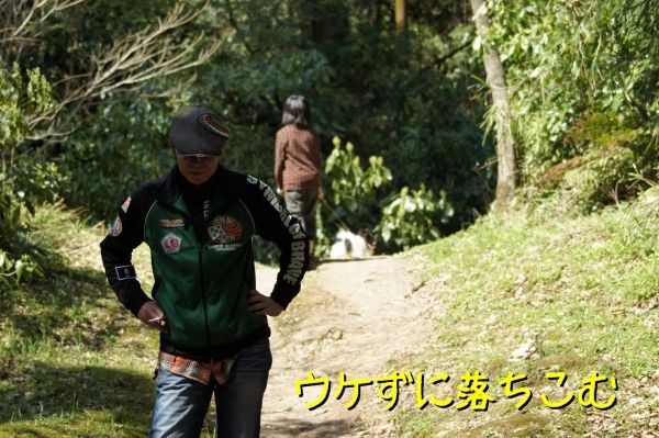 095DSC06004