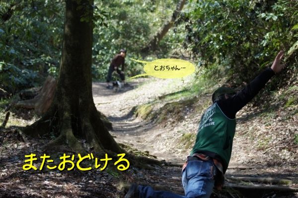 094DSC06024