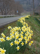 DSCF3372