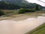 DSCF2433