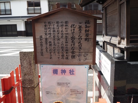 化けて出るげな古狸