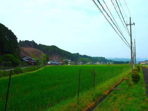 蛇岩があった辺り