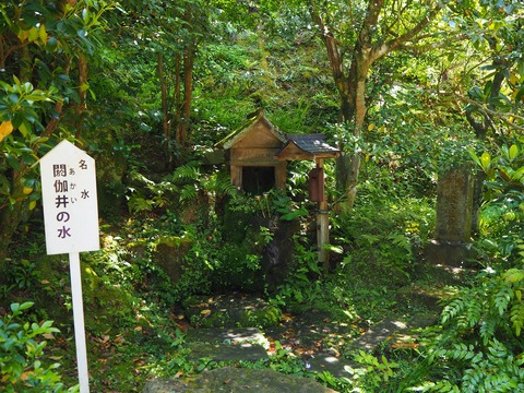 閼伽井の水