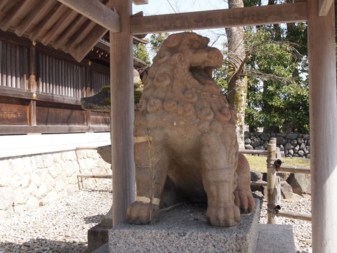 狛犬阿
