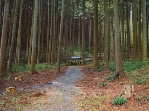 何故か離れた位置に