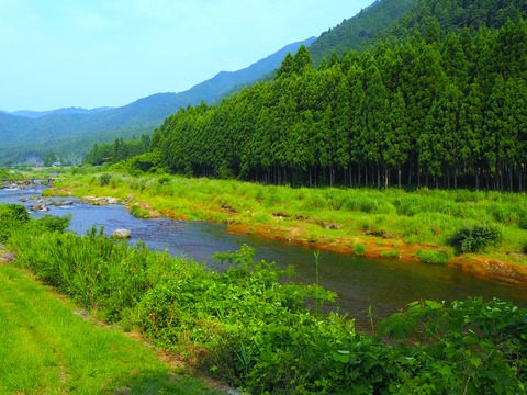山國神社裏の大堰川