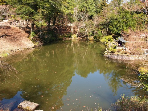 成相寺の底なし池