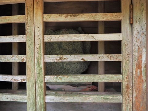 肩切り地蔵近影