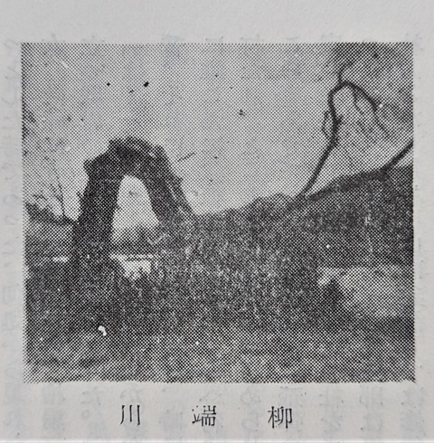 在りし日の川端柳