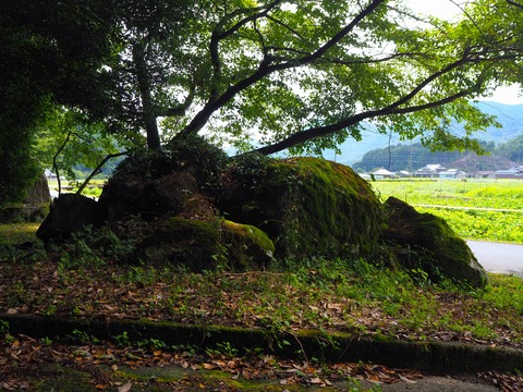 神社裏手にあった謎の石群