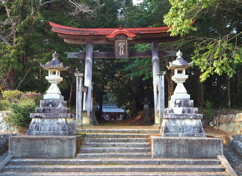 知乃神社