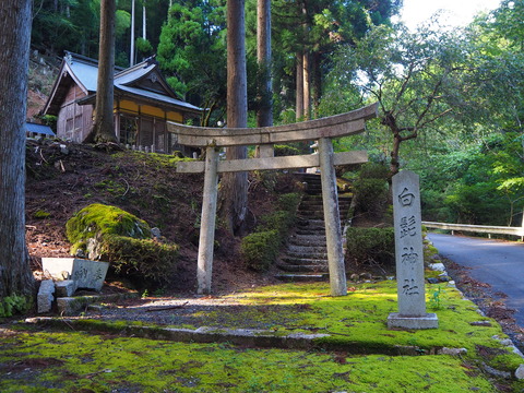 白鬚（髭）神社