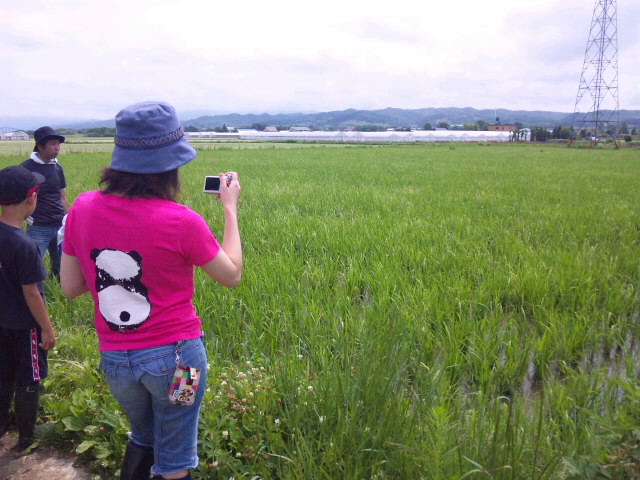SH3G01760001