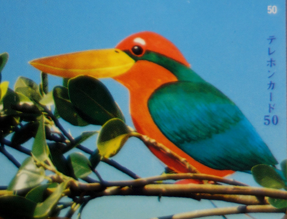 世界で1羽 : 奥の坂道