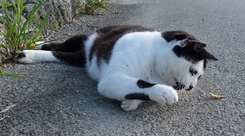 DSC06371_001★編