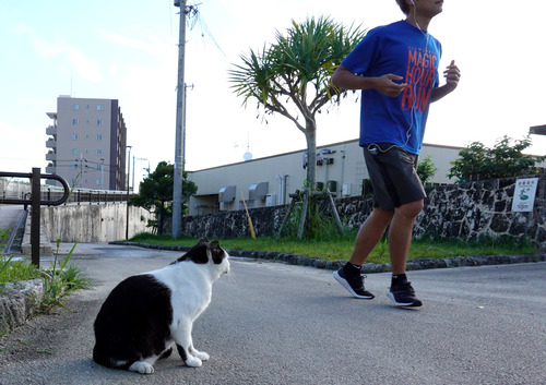 DSC06386_001★編