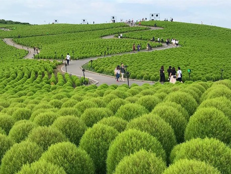 5A5FB809-5EE0-45EE-87F2-3A551C688AE0