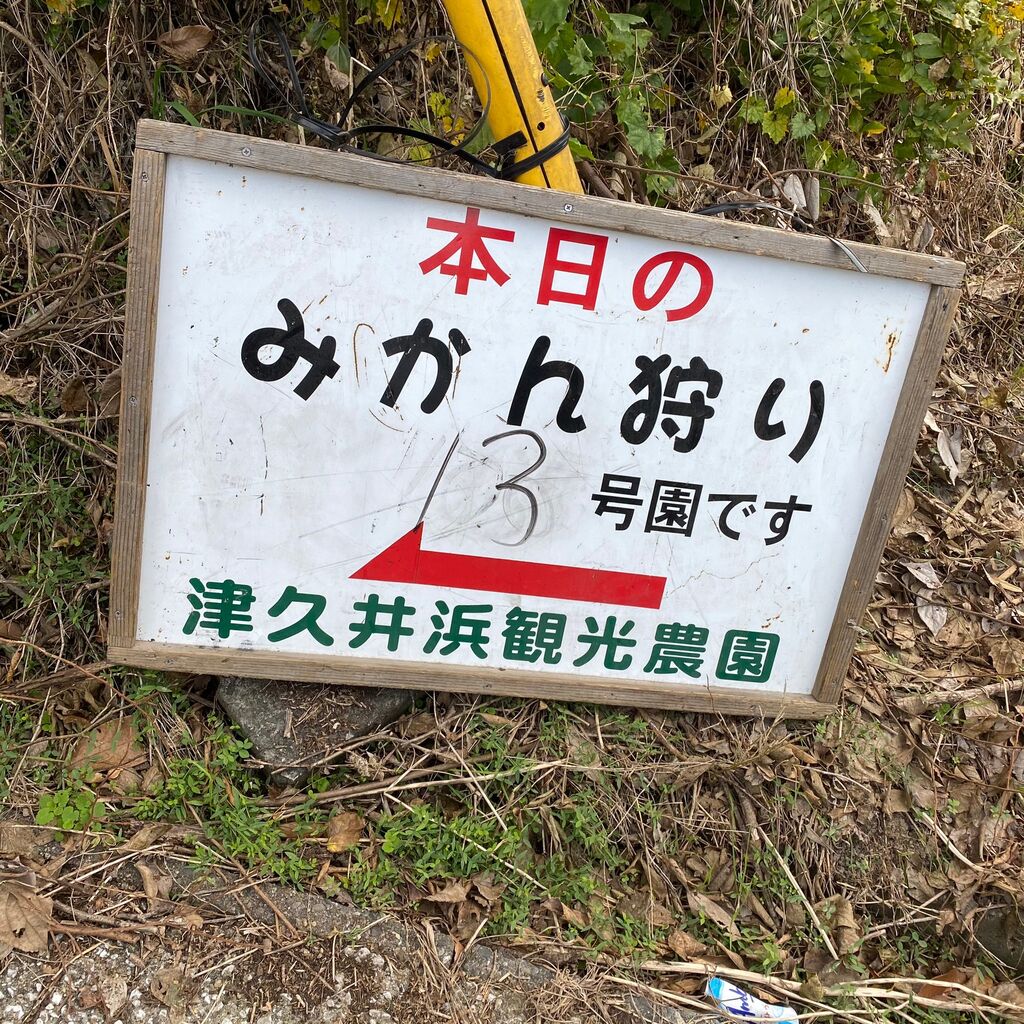 みかん狩りにいってきました 津久井浜観光農園 たねちよ日記