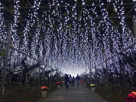 B131F087-0D79-4E1B-BE9D-2BAD322B0B2B