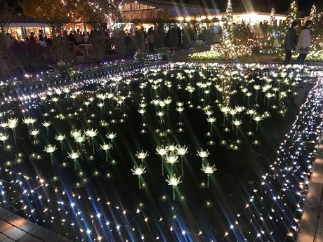 914DAED9-48E9-4847-A55C-B11381DC1AB3