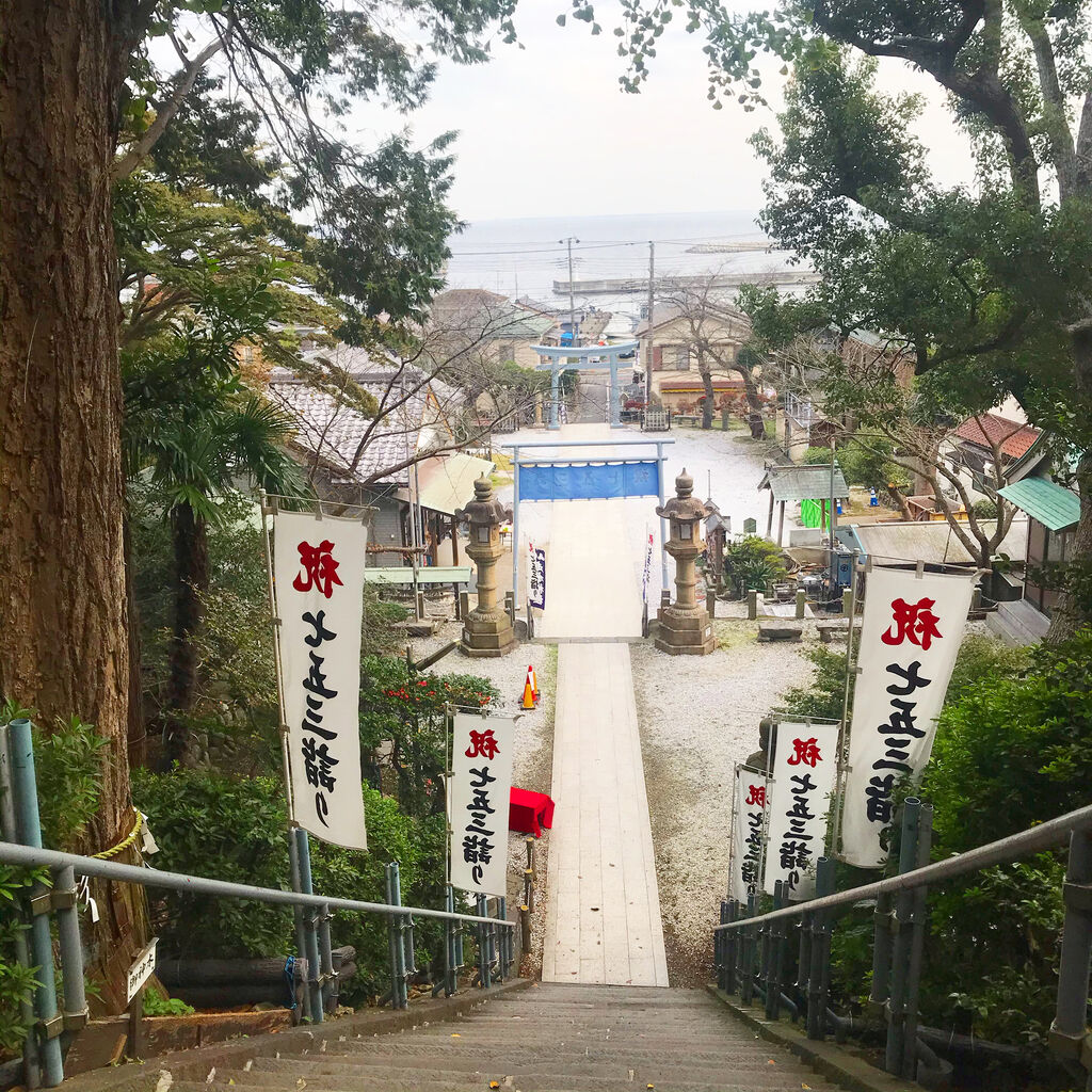 みかん狩りにいってきました 津久井浜観光農園 たねちよ日記
