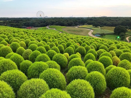 617E33C4-7A24-4057-9C64-1EA02EEBE4B2