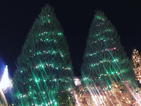 2B6F77A0-3ED0-45EA-B235-200292FE4B34