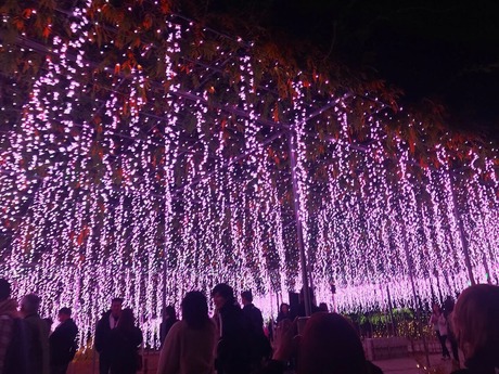 E648EBCB-9F32-437C-83DD-43F83AEF51E6