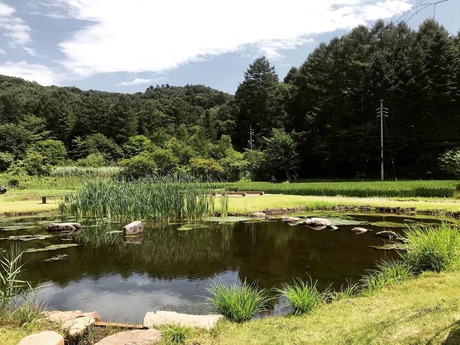 98F47979-7DD4-46F1-8120-ABA9D07B67E0