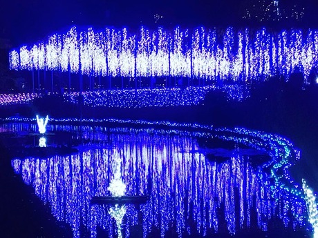 A4A860F5-9A5F-4C69-BFA1-456C2FB87279