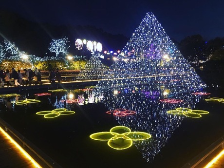 851289F9-C48B-442D-A990-ACDE38E3B8EC