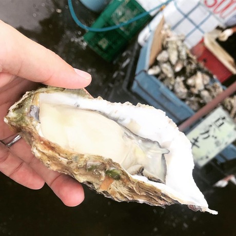 606C4735-707A-4B6A-A879-AB32080A7622