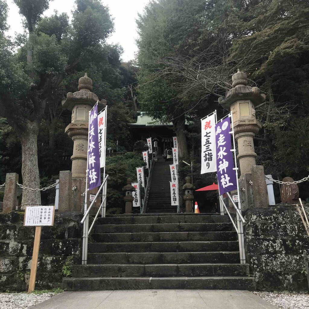 みかん狩りにいってきました 津久井浜観光農園 たねちよ日記 みかん狩りにいってきました 津久井浜観光農園 たねちよ日記