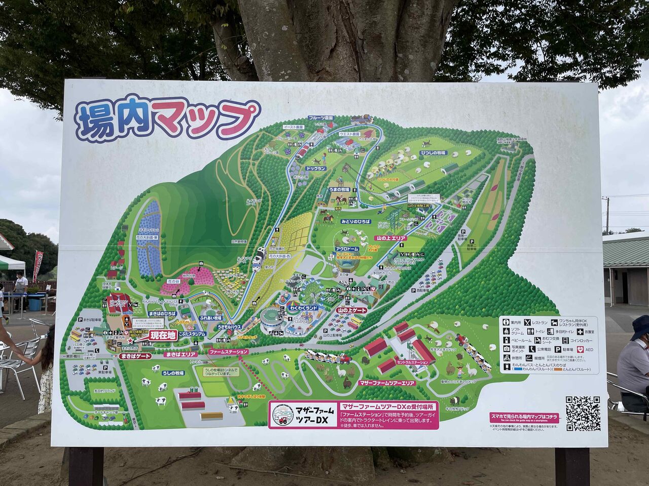 キャンプに行ってきました マザー牧場オートキャンプ場 たねちよ日記