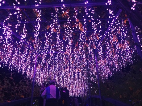 BF1648EE-B005-4CC6-B751-0D9DCF82DE49