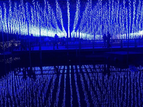 252087A8-8968-43F2-9381-719609460078