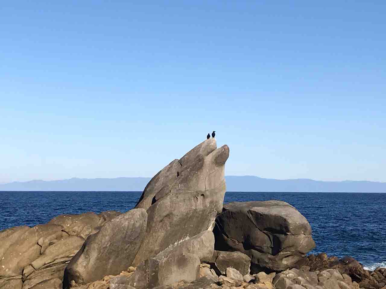 イルカロック 種子島 サーフショップ オリジン サーフィン